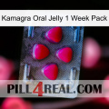 Kamagra Oral Jelly 1 Week Pack 13